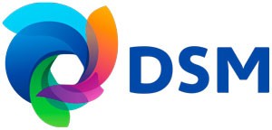 DSM-logo.jpg
